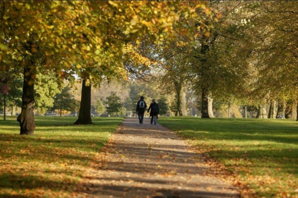 Hyde Park Studio 6 Leilighet London Eksteriør bilde